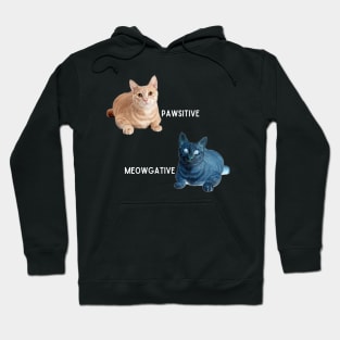 Pawsitive - Meowgative Hoodie